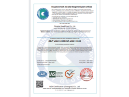 职业健康安全管理体系认证证书英文