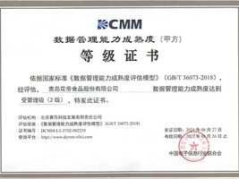 花帝股份数据管理能力成熟度等级证书