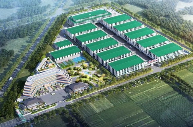 花帝食品丨省重点优选项目建设假期不停工，企盼新年开门红