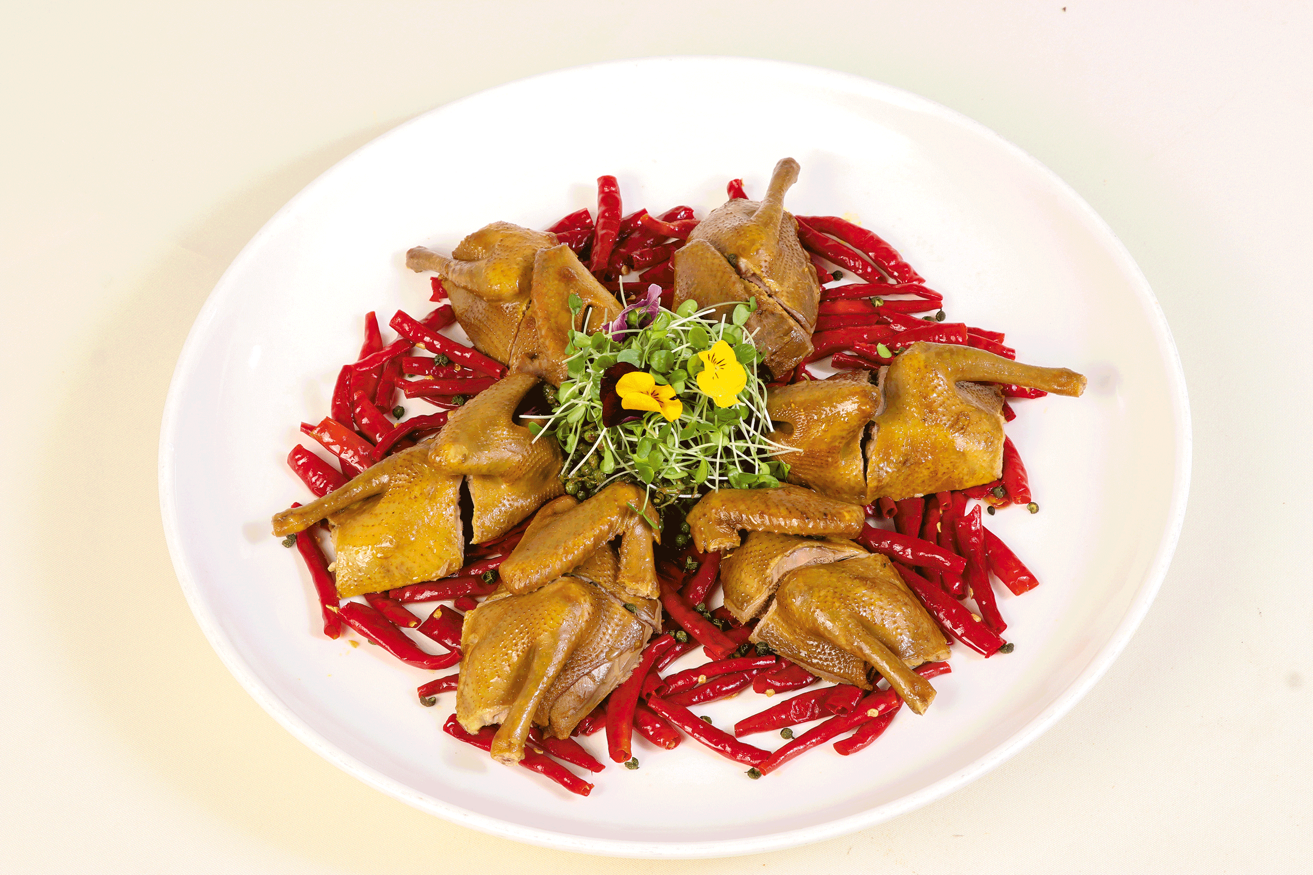 72-桑四宽-麻辣飘香妙龄鸽